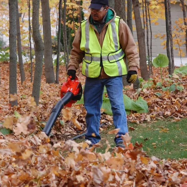 ECHO 170 MPH 453 CFM 25.4 cc Gas 2-Stroke Cycle Handheld Leaf Blower